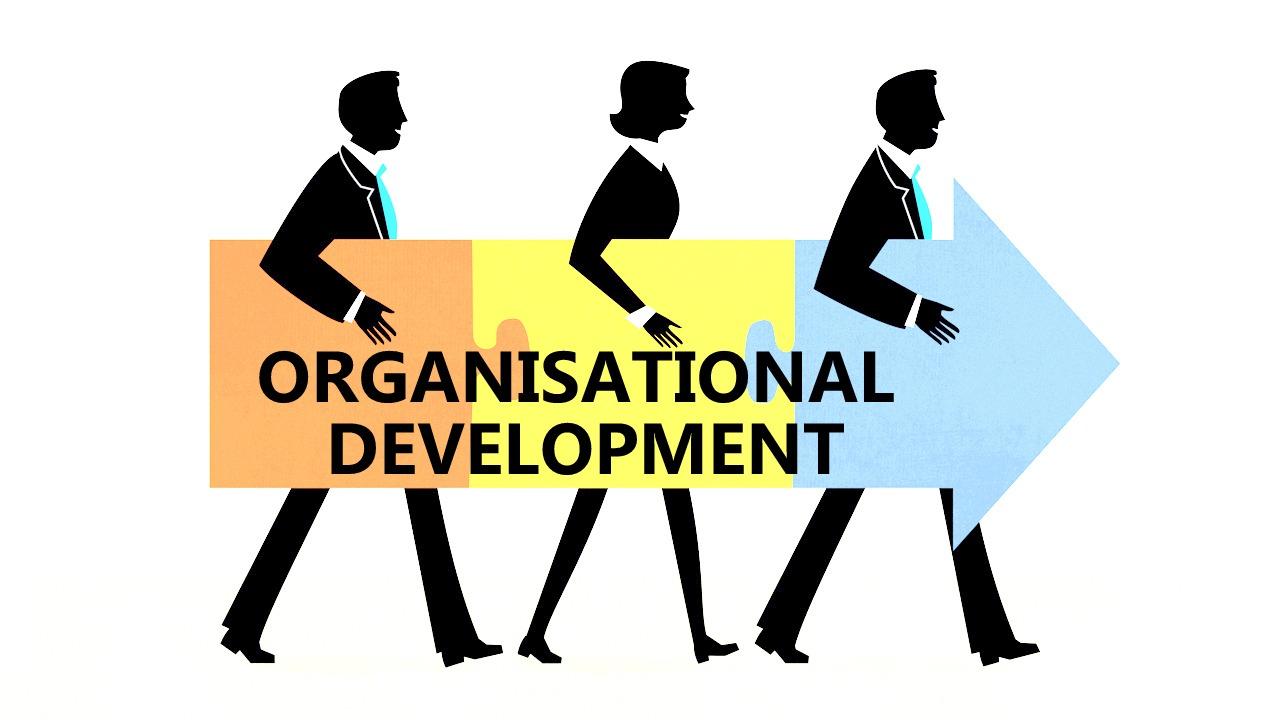 Organisational Development