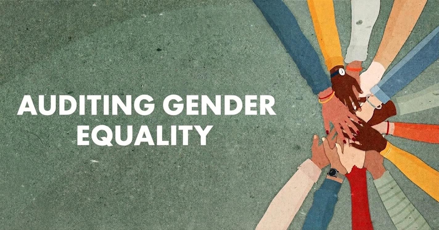 Gender Audits